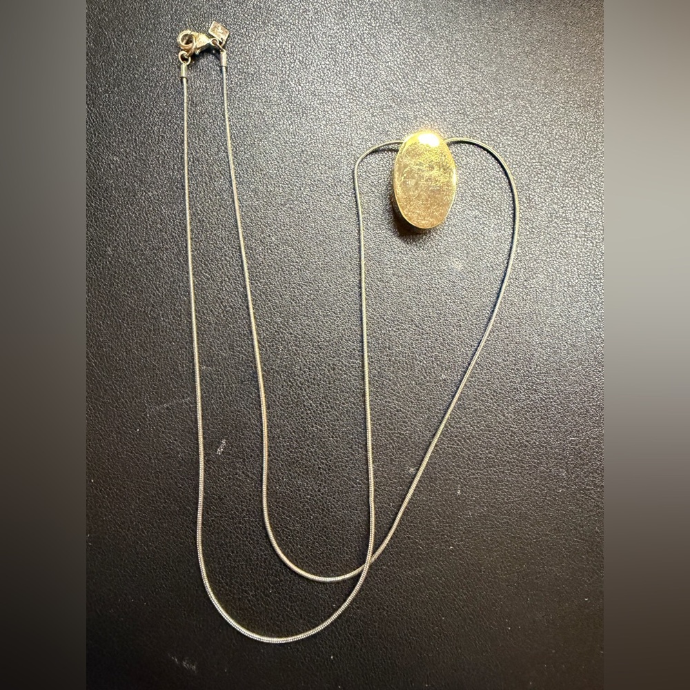 Banana Republic Elegant Gold Pendant Necklace